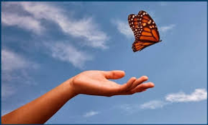 Image Example for release