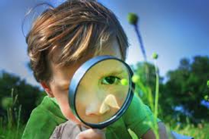 Image Example for examine