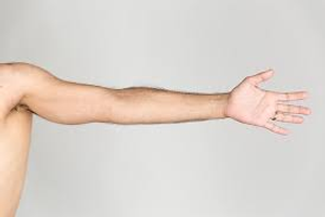 Image Example for arm