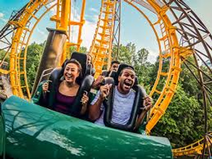 Image Example for roller coaster