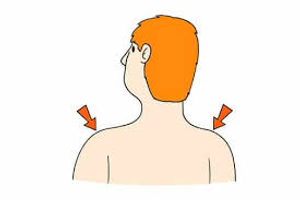 Image Example for shoulder
