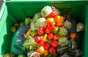 Image Example for food waste