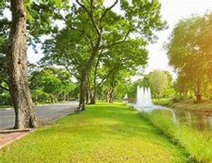 Image Example for green space