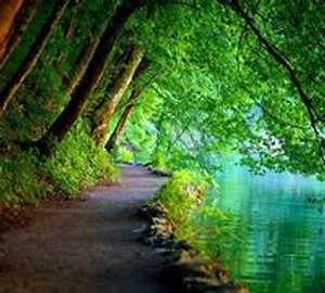 Image Example for peaceful