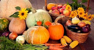 Image Example for Harvest Festival