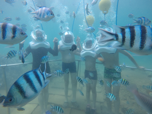 Image Example for explore the seabed