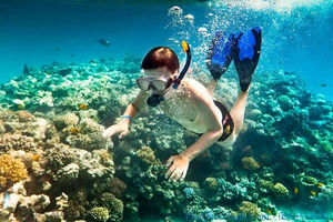 Image Example for go snorkeling