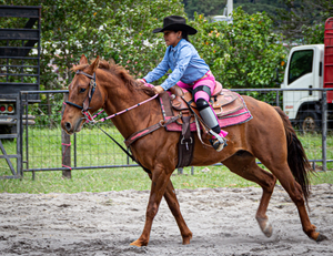 Image Example for ride horses