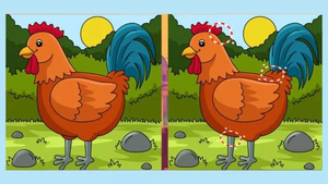 Image Example for difference