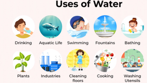 Image Example for use for