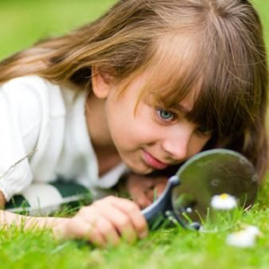 Image Example for interested