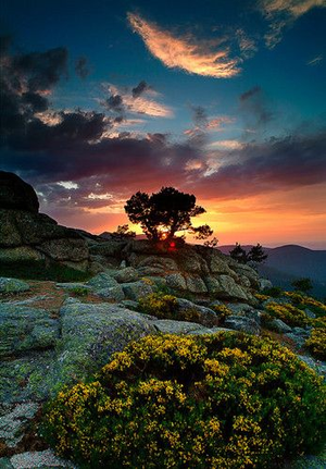 Image Example for magnificent