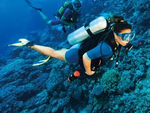 Image Example for scuba diving