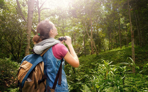 Image Example for ecotourism