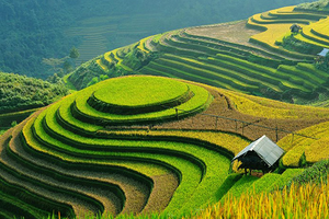 Image Example for terraced field