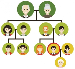 Image Example for relation