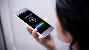 Image Example for voice assistant