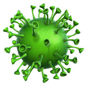 Image Example for virus