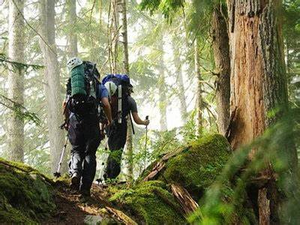 Image Example for explore