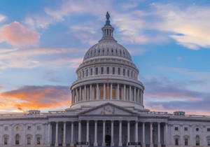 Image Example for government