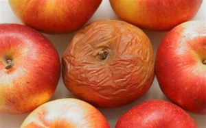 Image Example for spoil