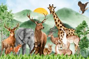 Image Example for wildlife