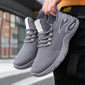 Image Example for trainer