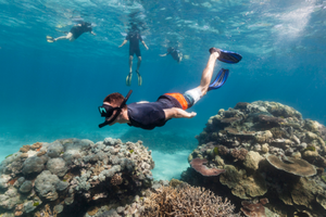 Image Example for snorkeling
