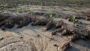 Image Example for soil erosion