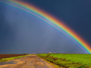 Image Example for wonderful