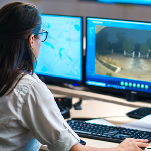 Image Example for virtual security guard