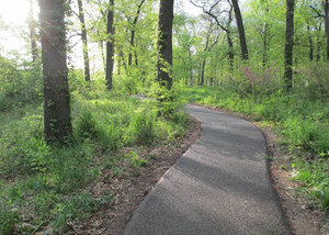 Image Example for walking path