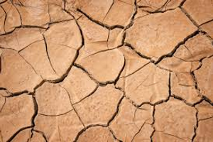 Image Example for dry