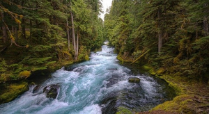 Image Example for river