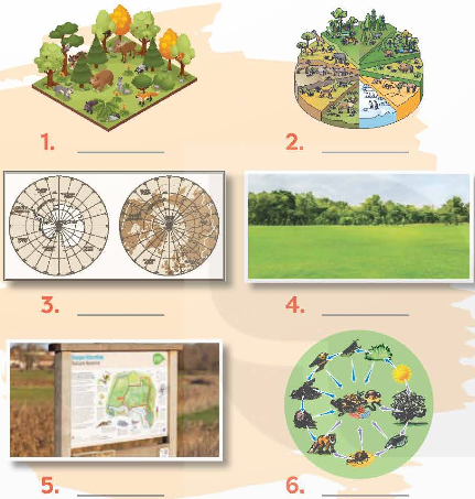 Tiếng Anh 9 Unit 10 A Closer Look 1 0 1