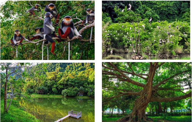 Tiếng Anh 9 Unit 10 Project 1 1