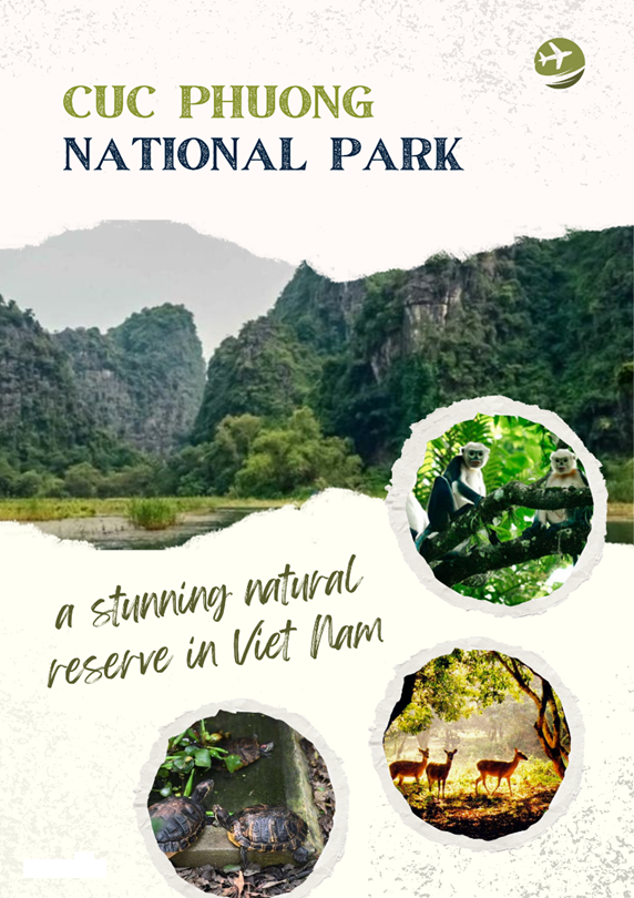 Tiếng Anh 9 Unit 10 Project 2 1