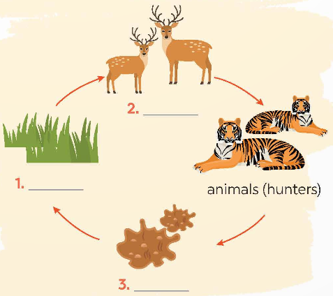 Tiếng Anh 9 Unit 10 Skills 1 2 1