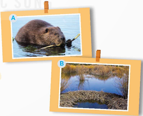 Tiếng Anh 9 Unit 10 Skills 2 0 1