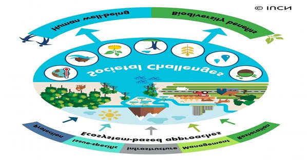 Tiếng Anh 9 Unit 2 2. CLIL (Citizenship) 3 1