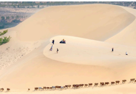 Tiếng Anh 9 Unit 5 5.4 Grammar 0 1