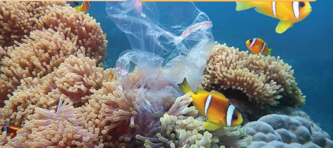 Tiếng Anh 9 Unit 6 Lesson 2 0 1