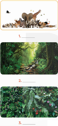 Tiếng Anh 9 Unit 7 Skills 2 0 1