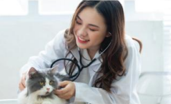 Tiếng Anh 9 Unit 8 Lesson 1 17 6