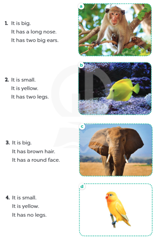 Tiếng Anh lớp 4 Extension activities trang 38, 39 Global Success 2 1