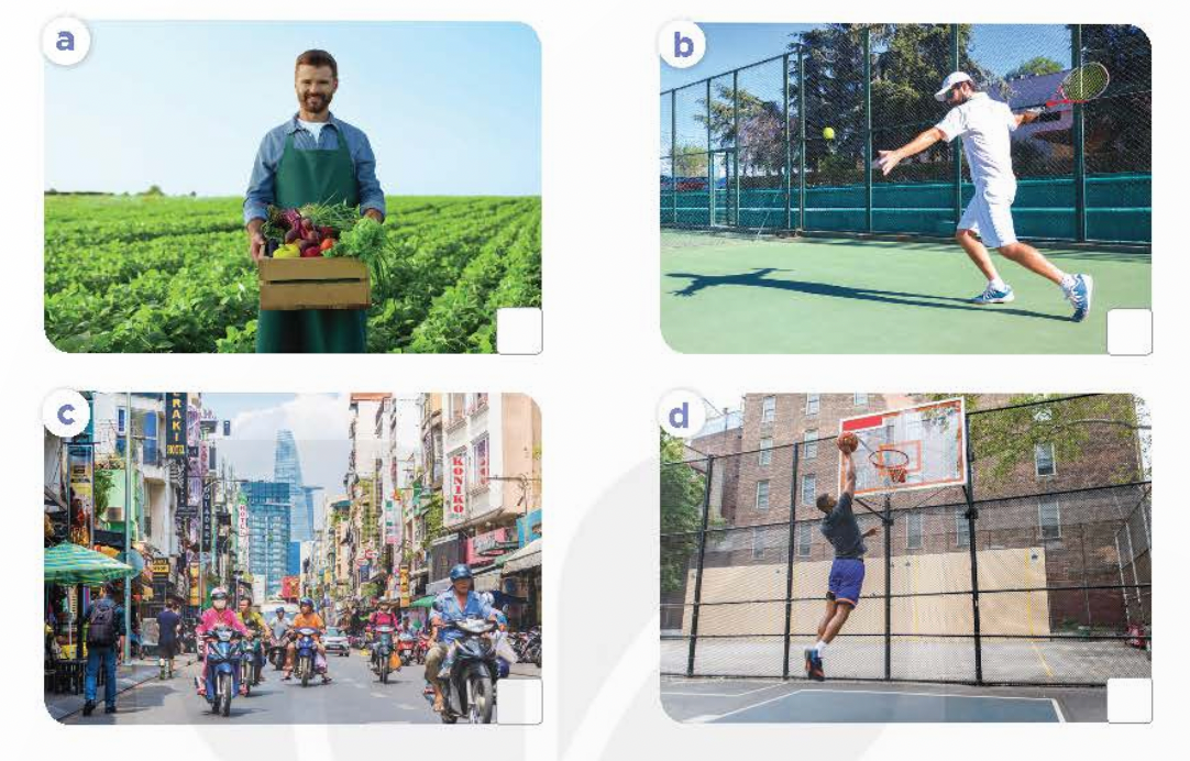 Tiếng Anh lớp 4 Review 3 trang 36, 37 Global Success 0 1