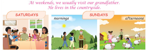 Tiếng Anh lớp 4 Review 7 trang 130, 131 Phonics Smart 5 1