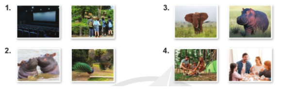 Tiếng Anh lớp 4 Stop and check 4B trang 142 Explore Our World 0 1