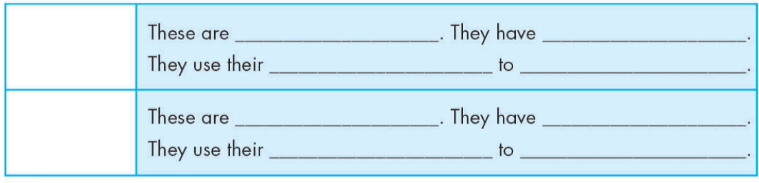 Tiếng anh lớp 4 Unit 1 review and practice trang 18 iLearn Smart Start 2 1