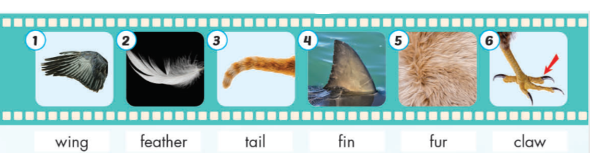 Tiếng anh lớp 4 Unit 1 Science trang 15 iLearn Smart Start 0 1